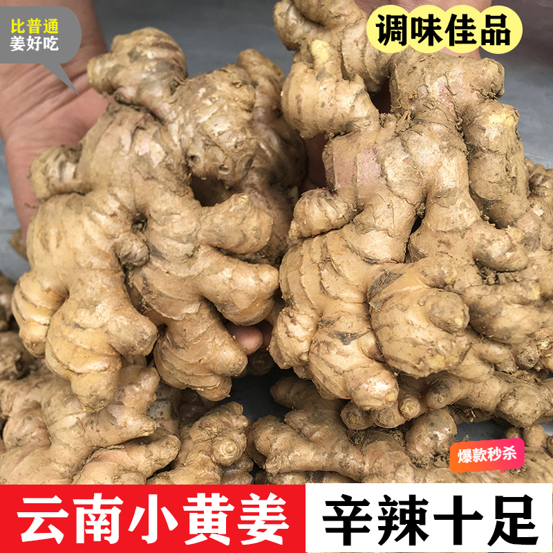 【正宗云南精品小黄姜】鲜姜老姜土姜嫩姜生姜小黄姜0.5-9斤云南姜