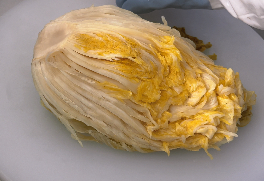 内蒙古农家酸白菜