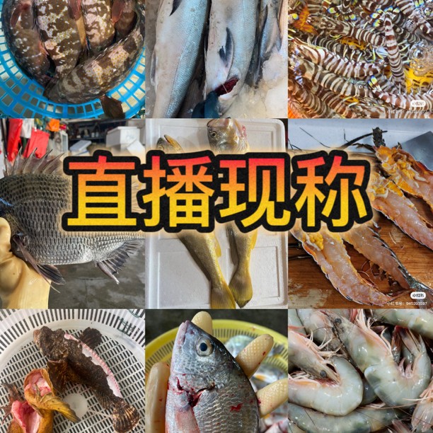 【1号】福建斗尾港海鲜现称组合寄顺丰杂鱼新鲜