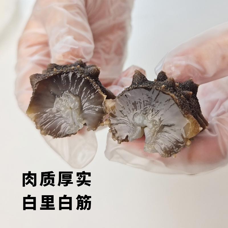 大连深水海参 软糯口感  送礼长辈必囤