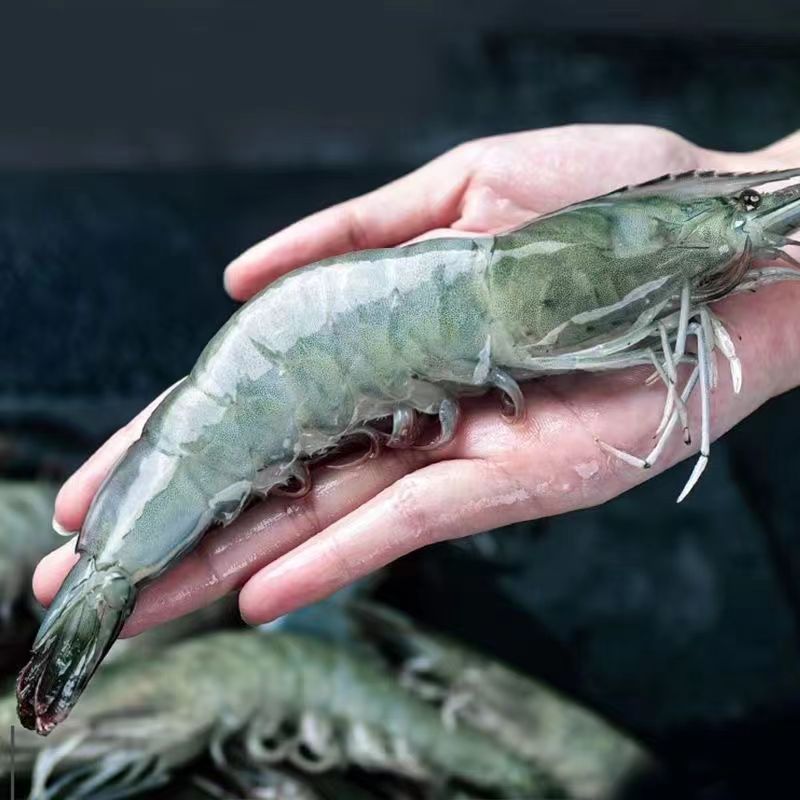【年货节 浮力不停 大虾散装】3斤盒装