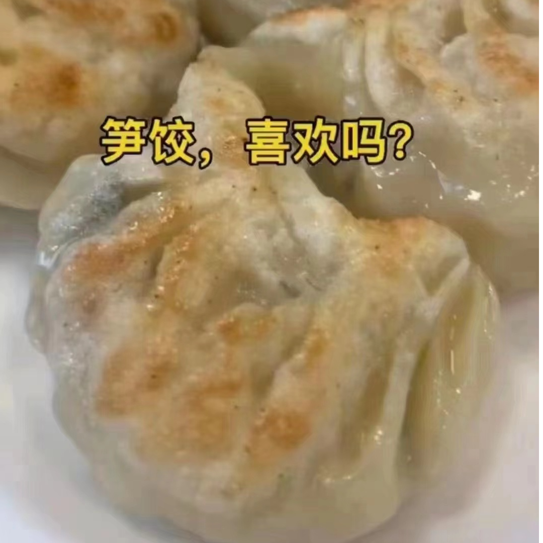 聚兴婆手工饺笋饺顺丰包邮隔天送达