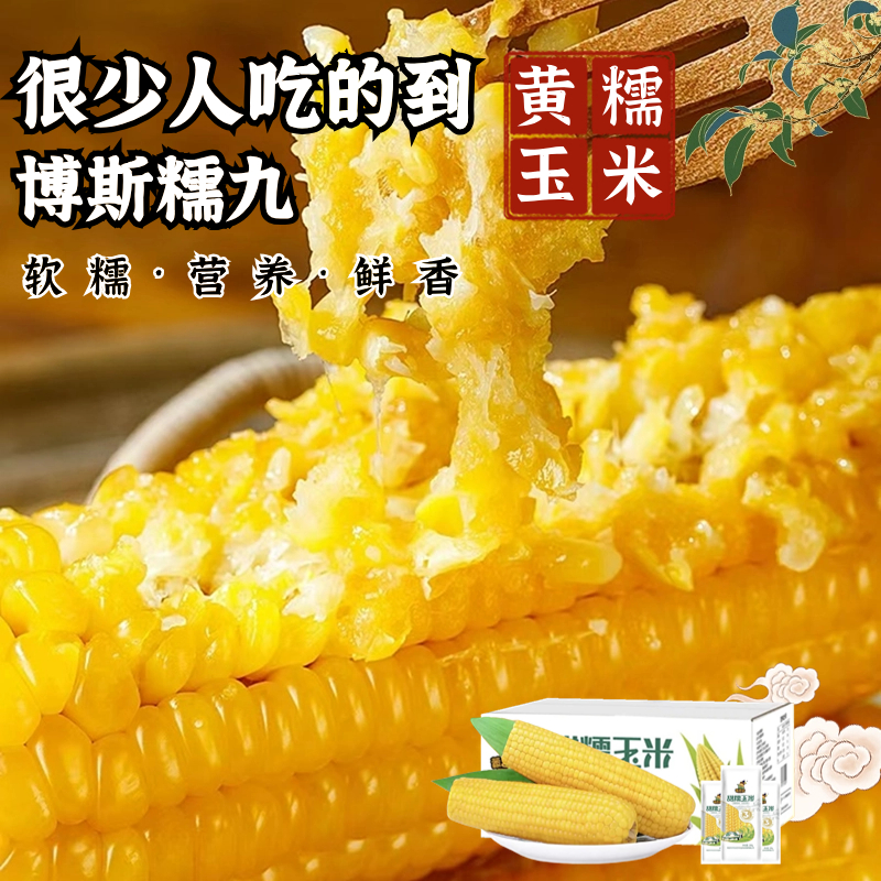 东北甄选好物黄糯玉米糯九8根真空包装新鲜甜糯玉米营养粗粮玉米