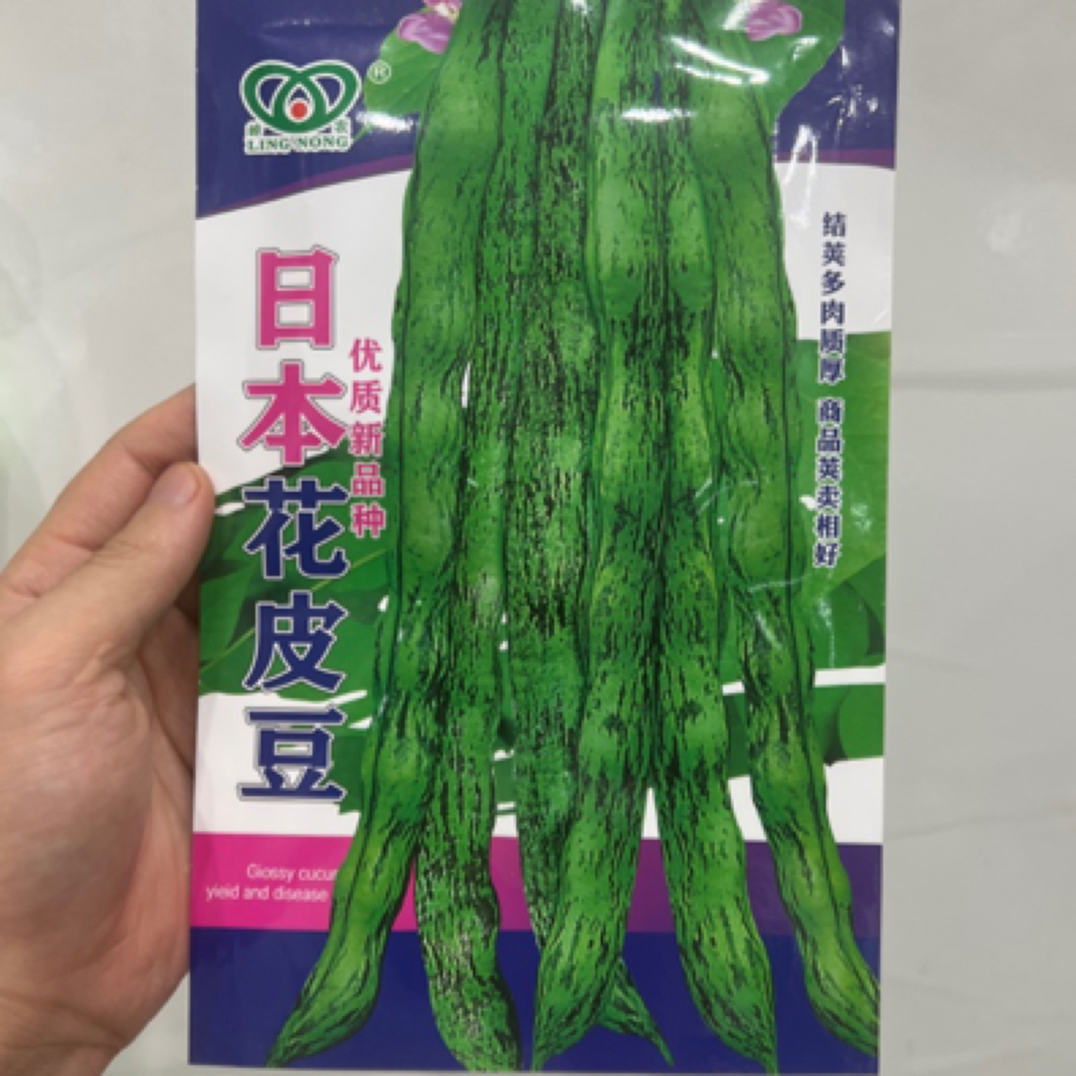 精选 花皮豆豆角种子1袋