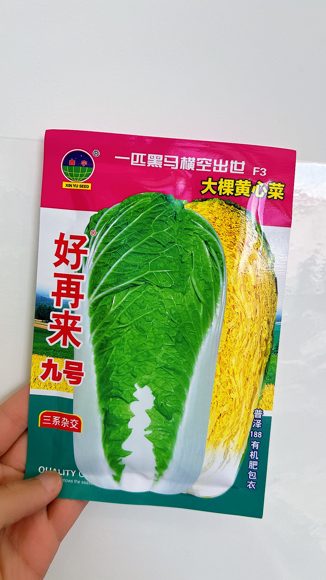 好再来九号大黄心白菜种子