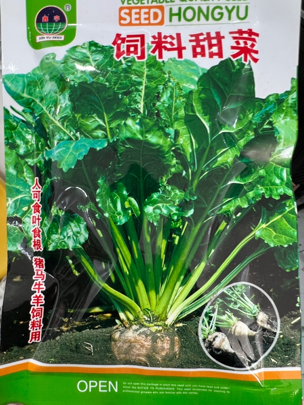 精选大叶饲料甜菜种子