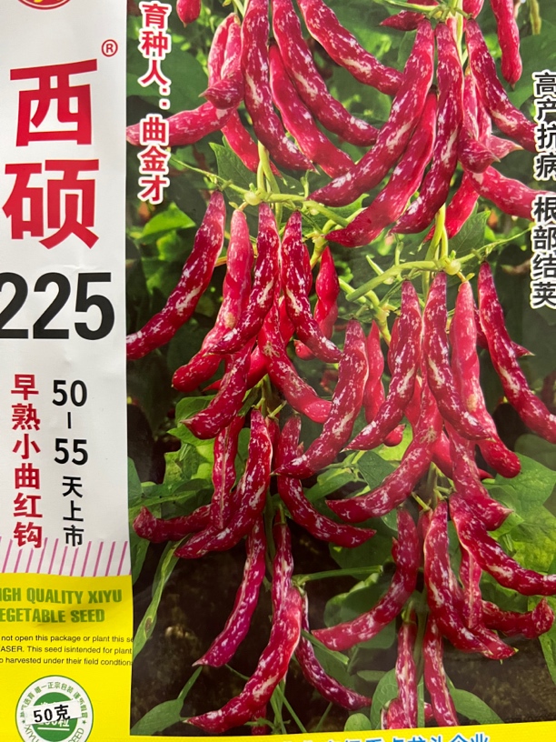 225早熟红勾面豆角种子