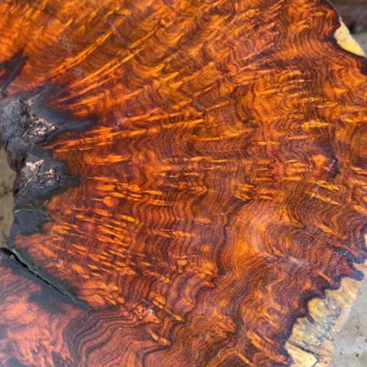 【闪购商品】木头粤****A印度小叶紫檀2.0老型