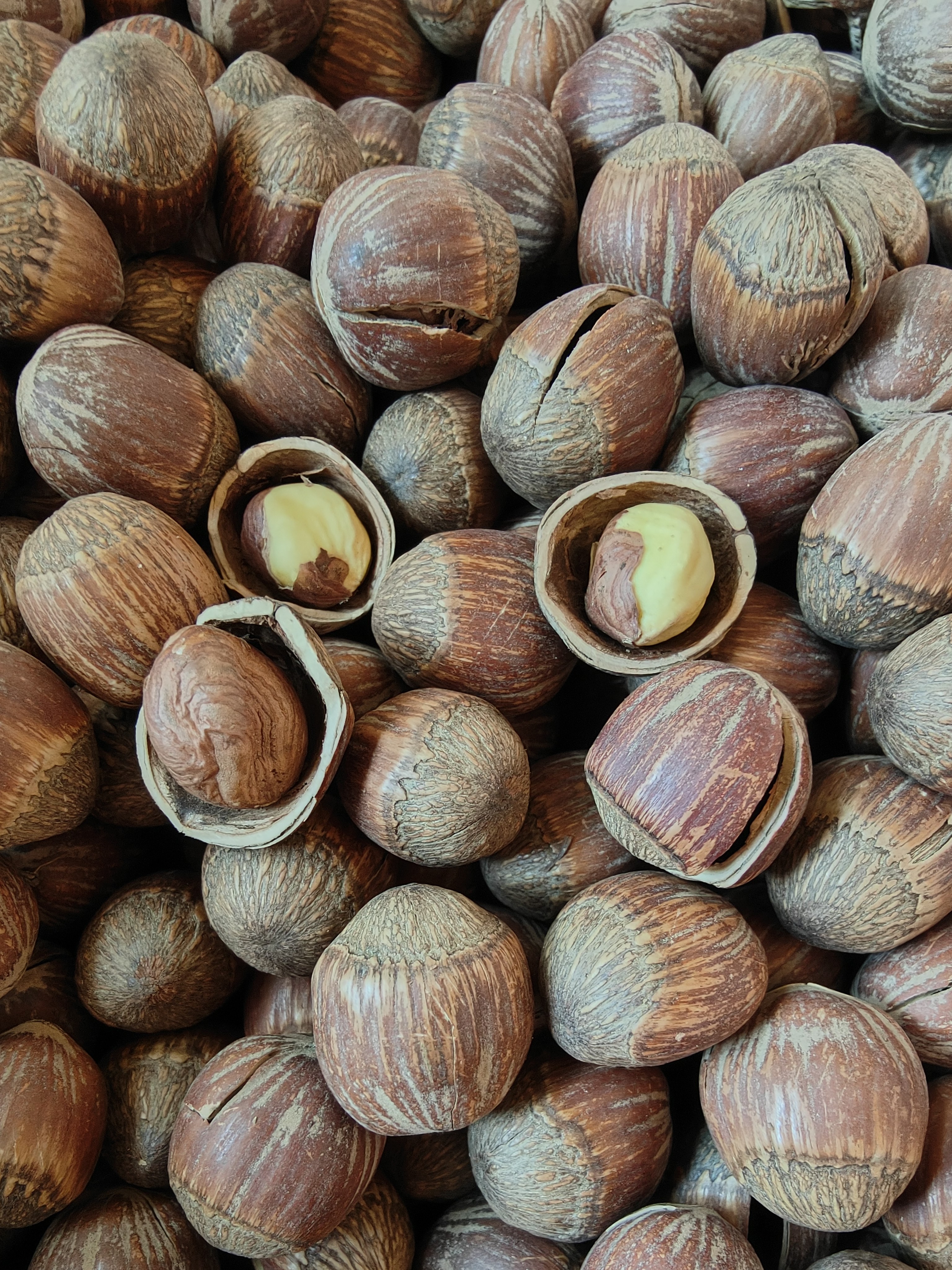 初级农副产品榛子（1000克）