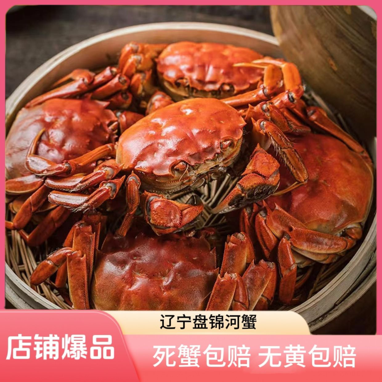 【活蟹】橙子姐 盘锦河蟹全母蟹 1.3-1两(2斤送半斤) 包邮