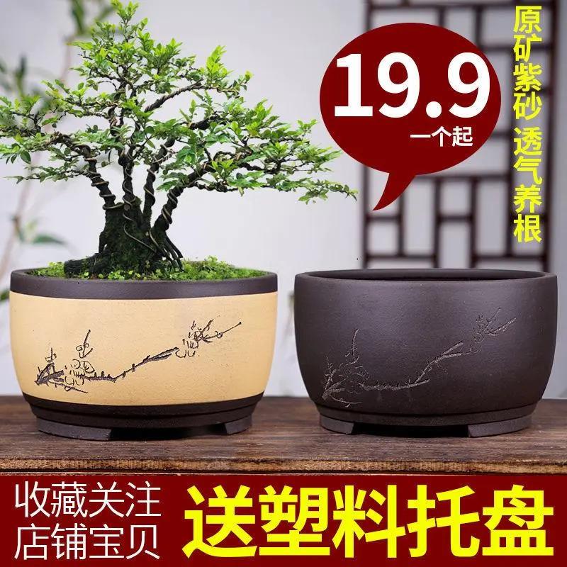 紫砂花盆盆景盆陶瓷花盆多肉植物花卉盆栽室内兰花盆