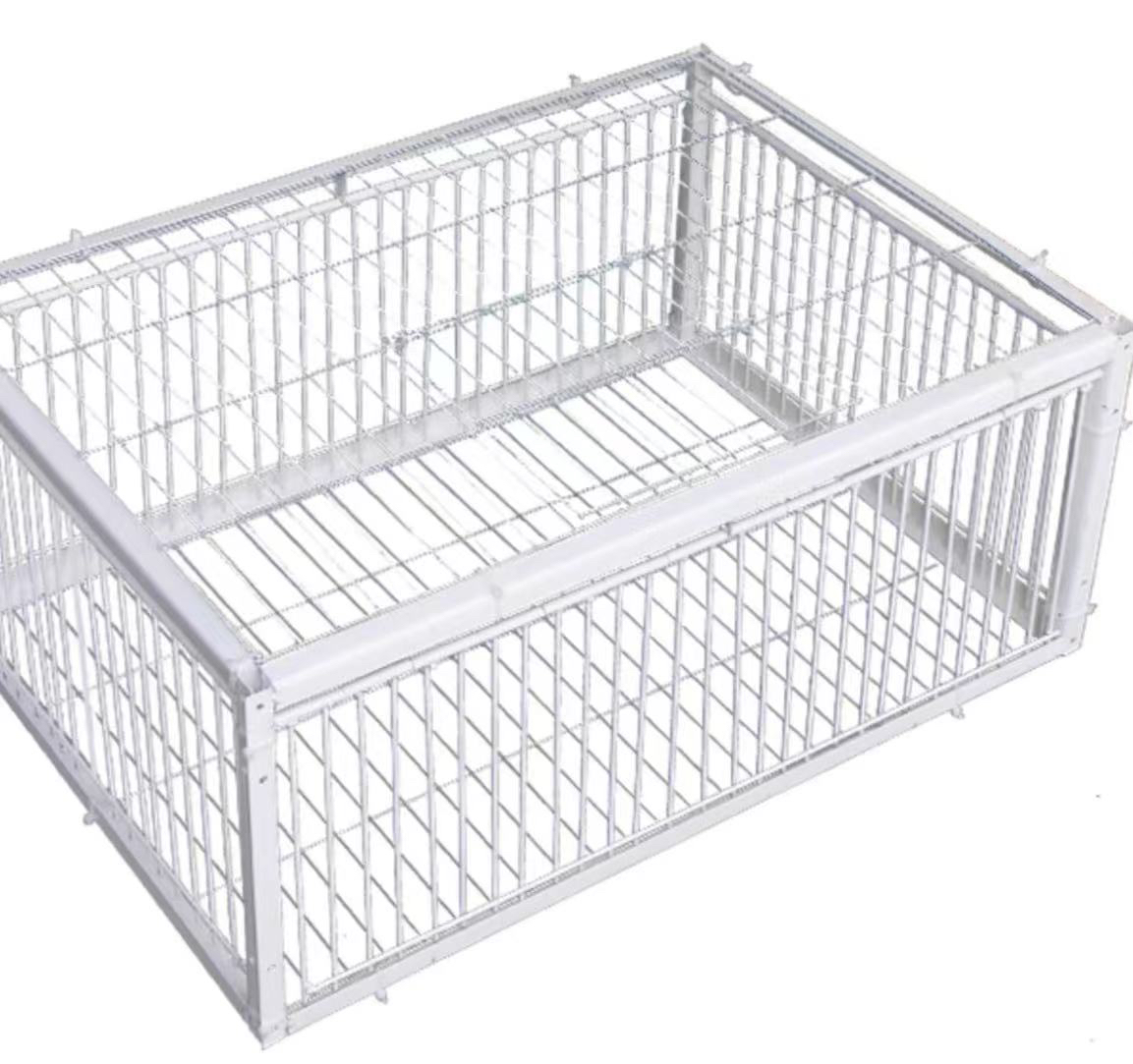 自己用的鸽子小型配对笼