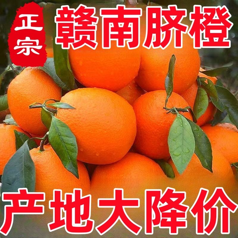 【新店半价】正宗江西赣南脐橙1/3/5/9斤果园新鲜采摘皮薄爆汁水果