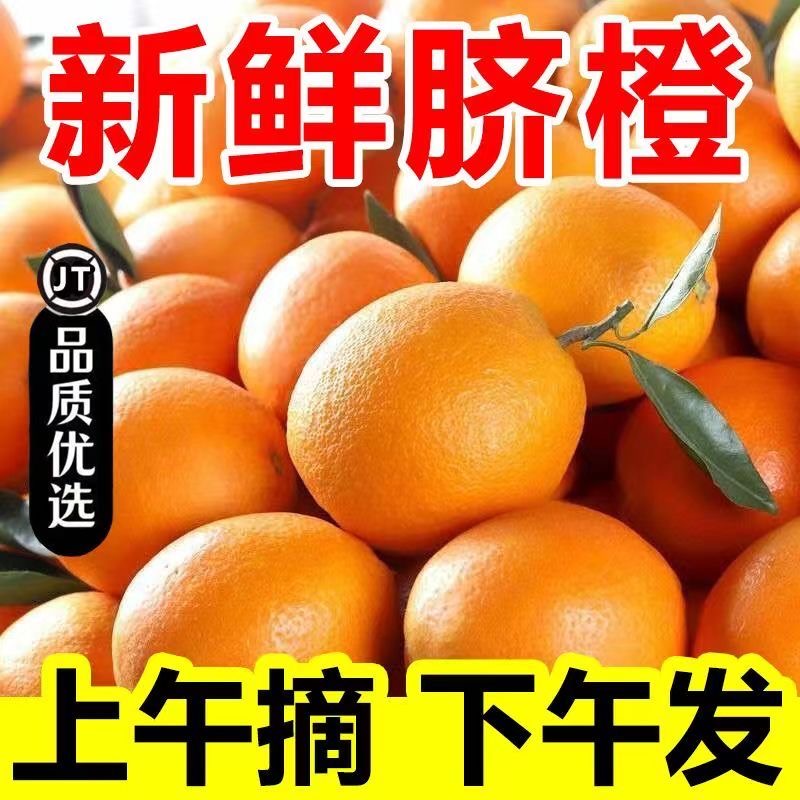 【新店半价】正宗江西赣南脐橙1/3/5/9斤新鲜采摘皮薄爆汁当季水果