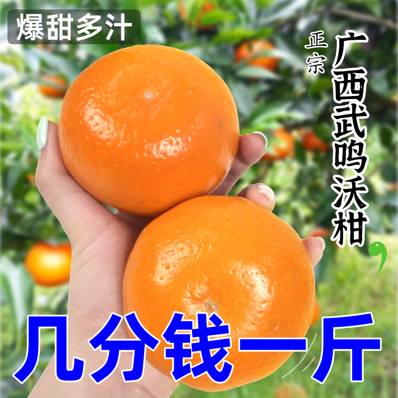 【新店半价】广西武鸣沃柑3/5/9斤一箱果园现摘现发皮薄多汁水果