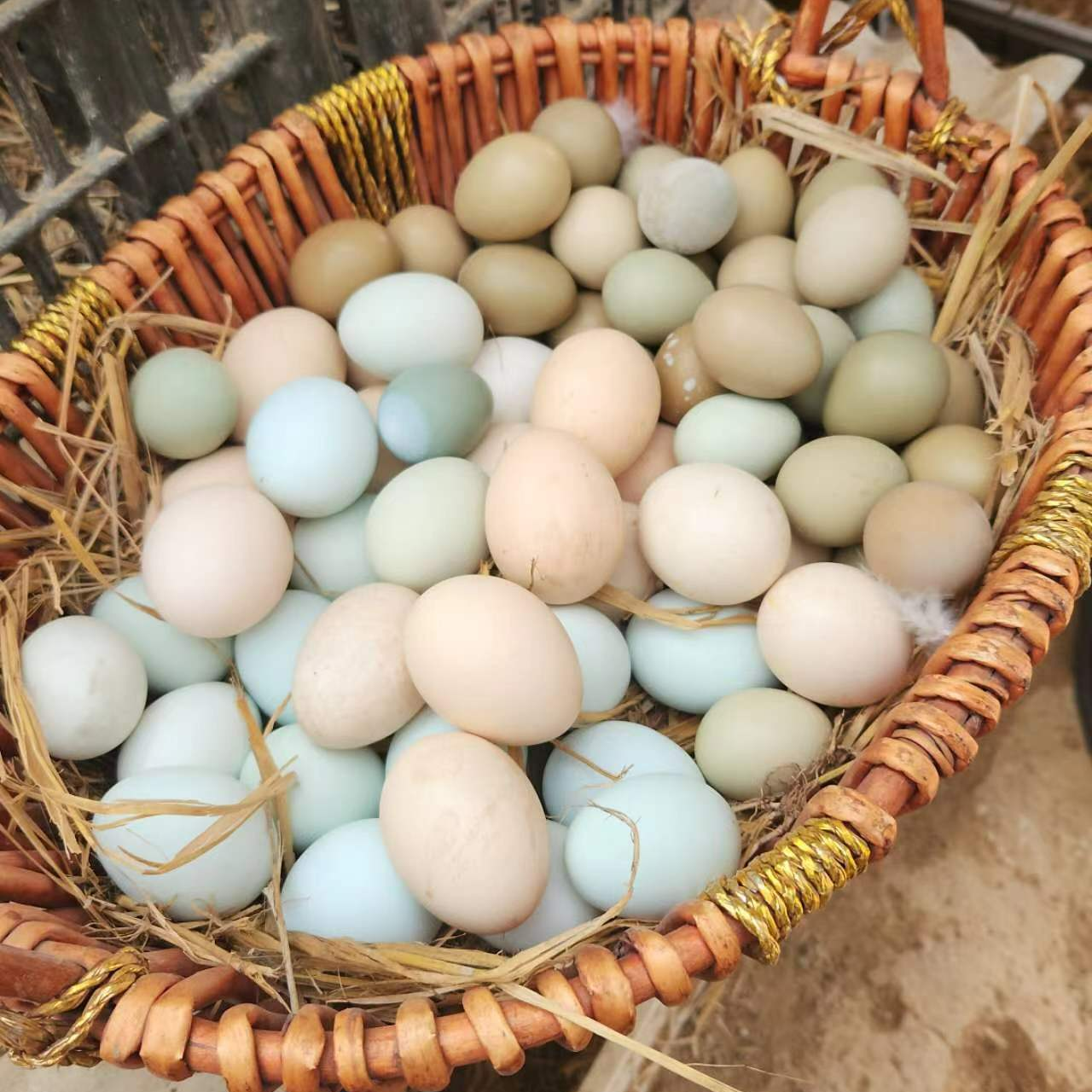 清泉家柴鸡蛋（45个）新客送5个