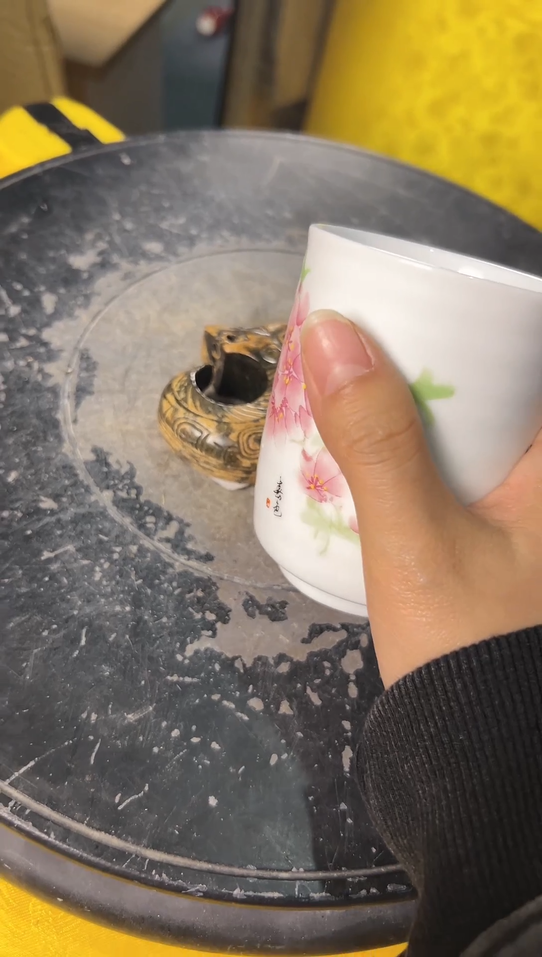 【闪购商品】瓷其他瓷
