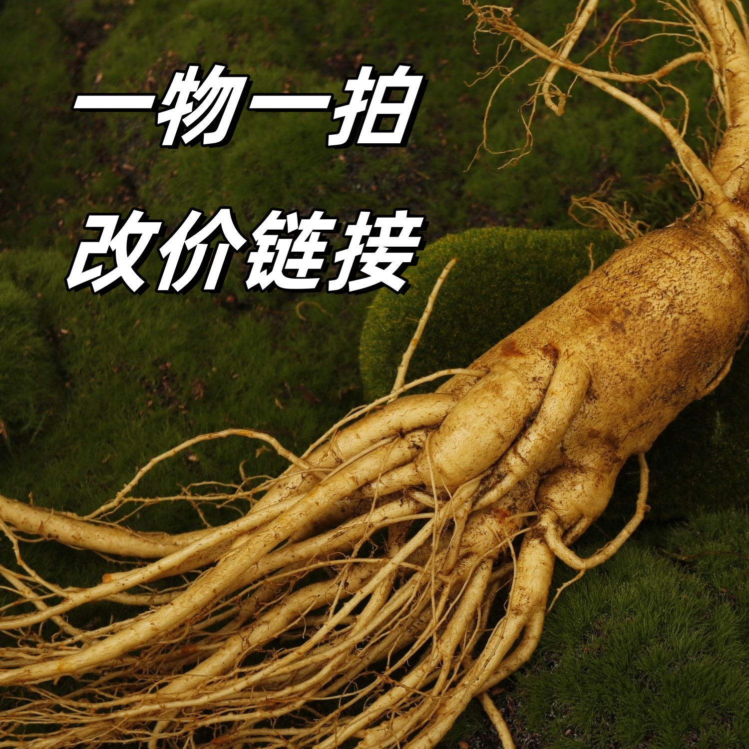 【参丫头】一物一拍正宗长白山林下池床鲜人参直播间改价链接