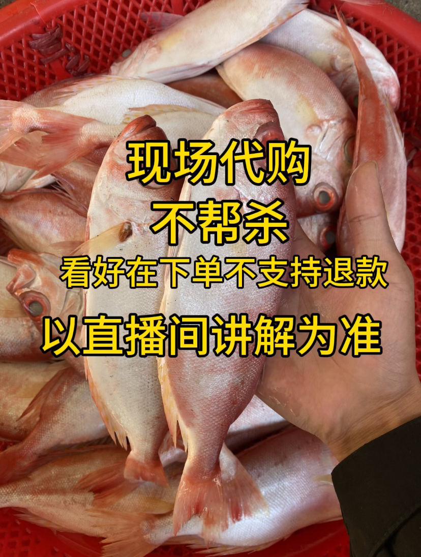 2⃣️码头鱼虾蟹代购 （实物以直播间讲解为准）5-10斤