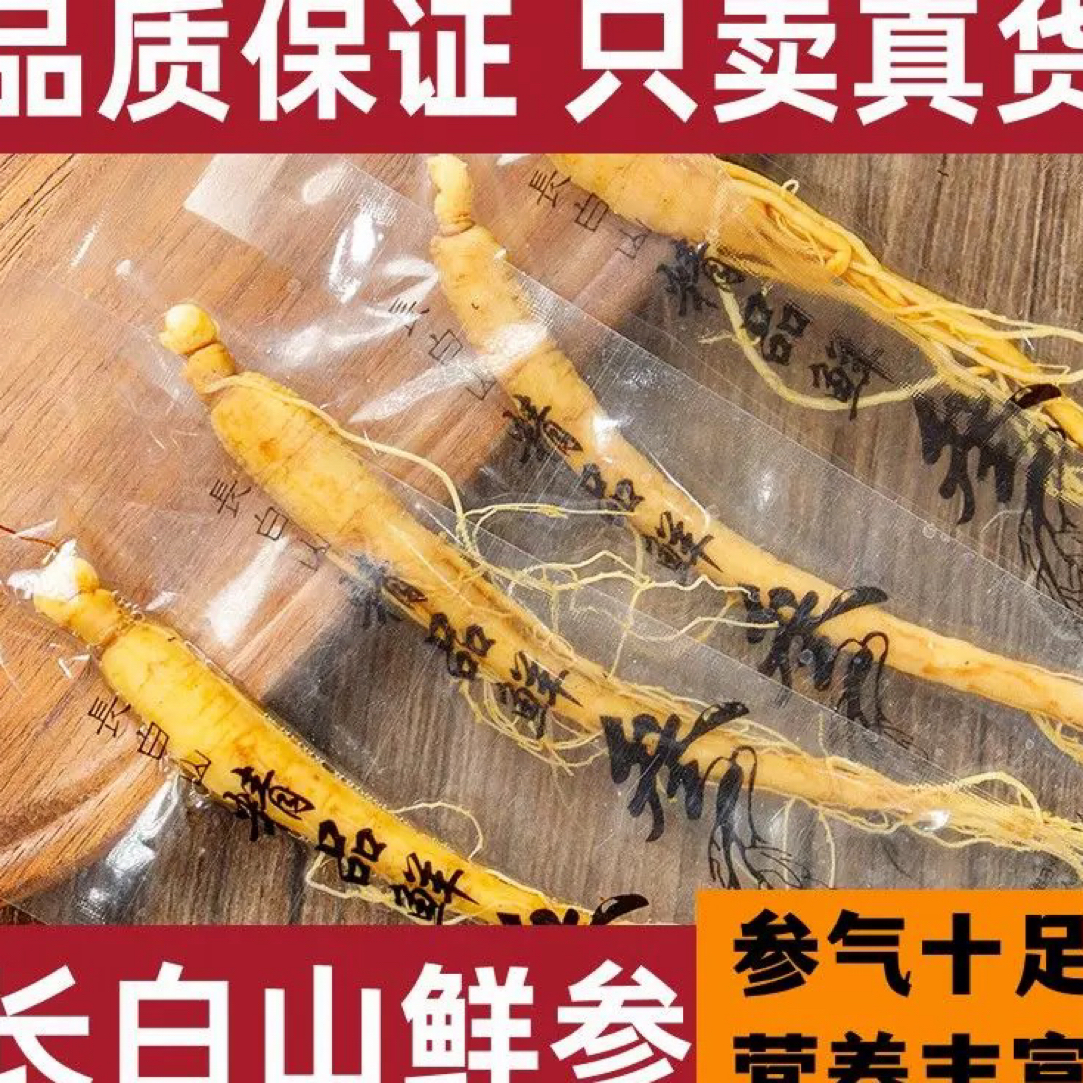保鲜人参长白山白参特大新鲜人参保鲜参东北特产煲汤泡茶泡酒
