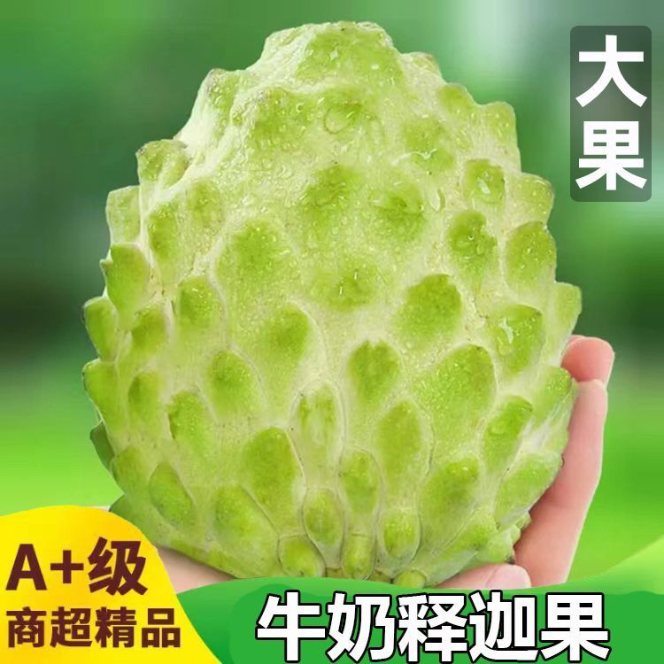 【京东顺丰】广西高原新鲜牛奶释迦果香甜多汁热带水果新鲜水果大果