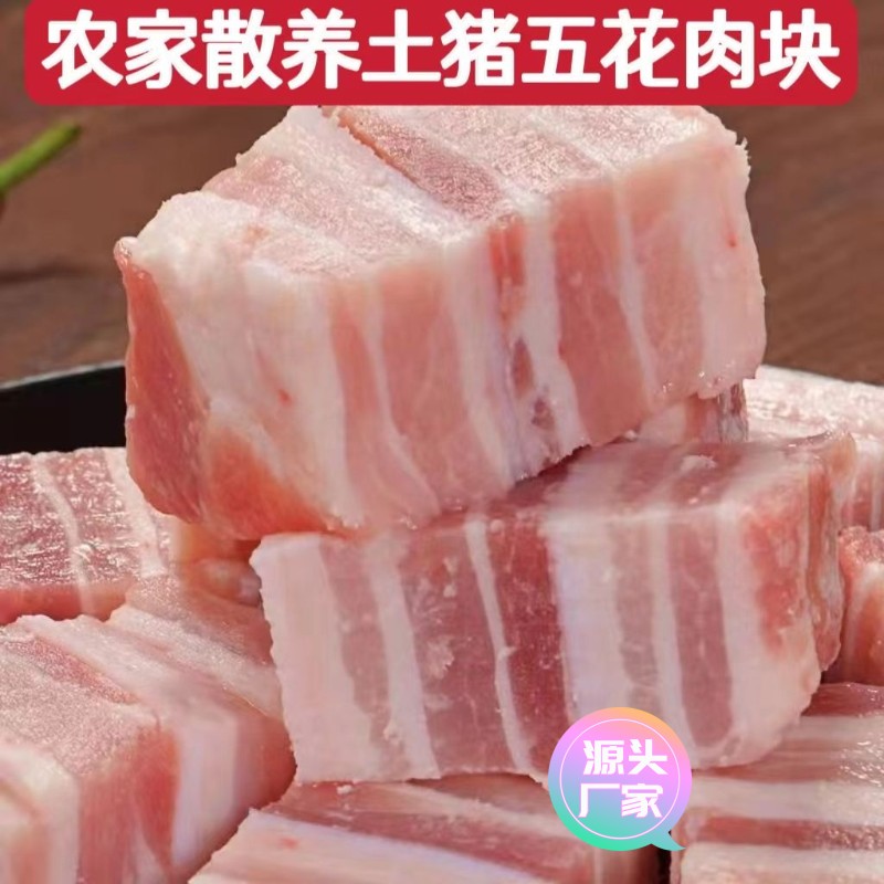 【甄选食料】新鲜五花肉块猪肉农家带皮五花肉新鲜生猪肉现杀冷冻