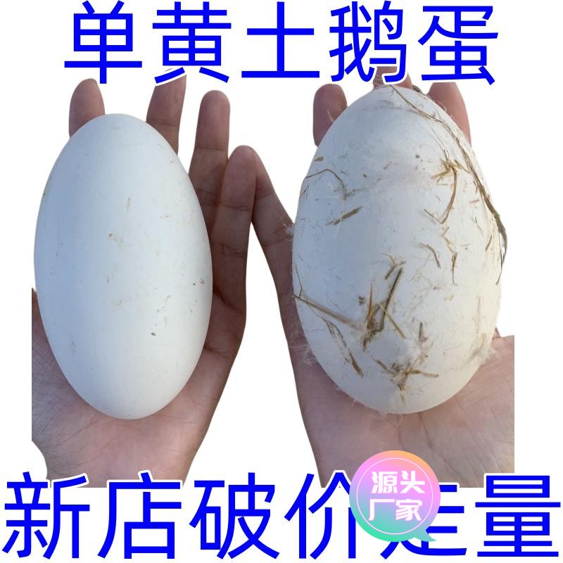 【甄选食料】【新鲜现发】正宗超大枚鹅蛋农家散养鹅蛋新鲜土鹅蛋