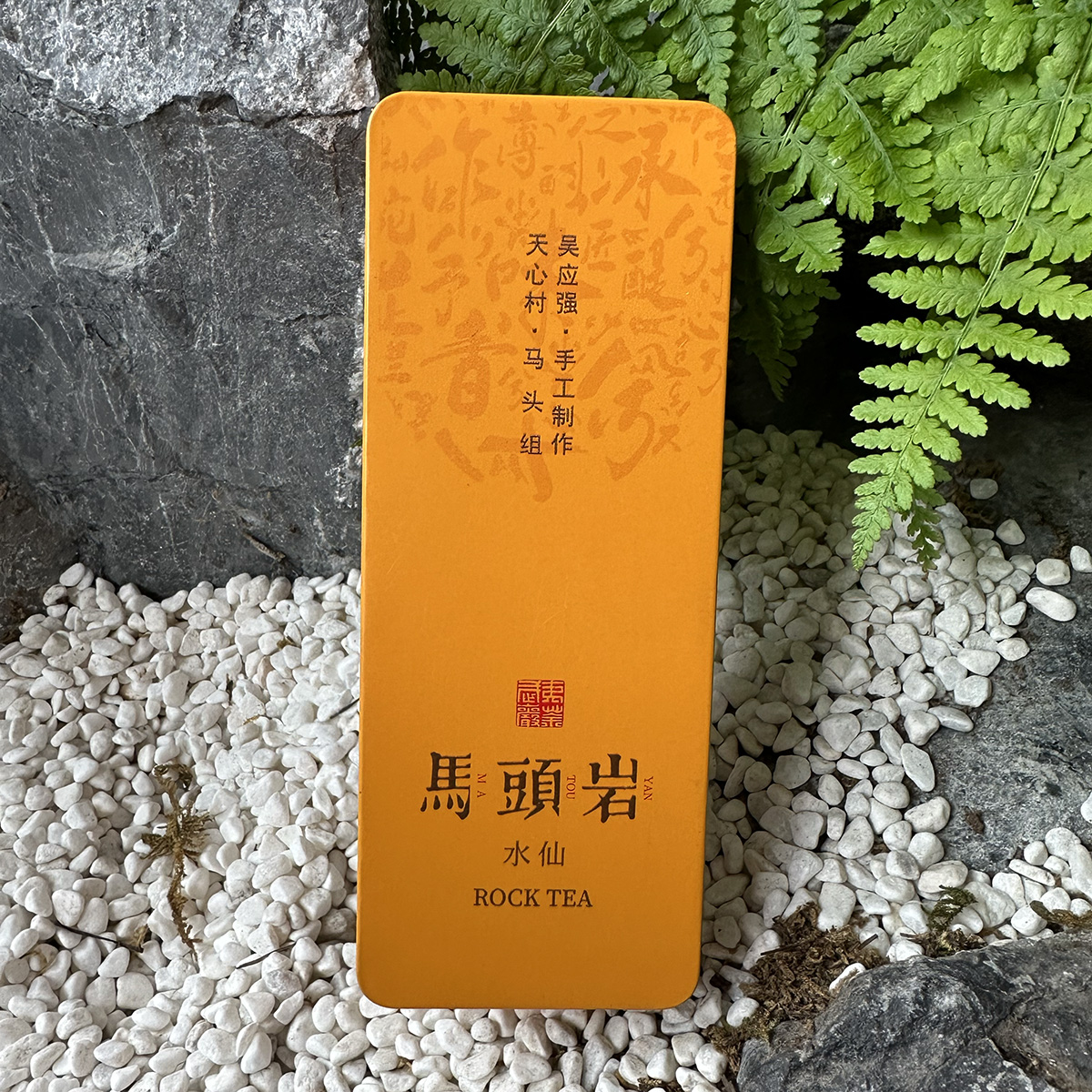 50年树龄高枞马头岩水仙武夷山天心村马头岩水仙