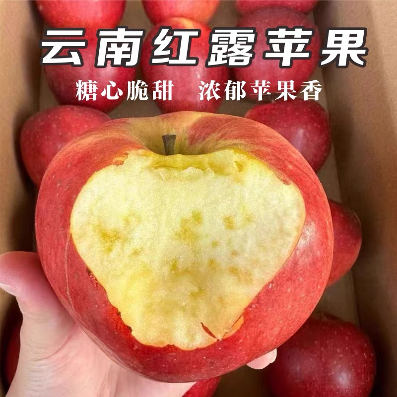 云南邵通红露苹果礼盒新鲜丑苹果冰糖心4斤