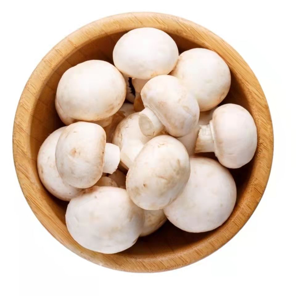 【新鲜蘑菇】白蘑菇300g