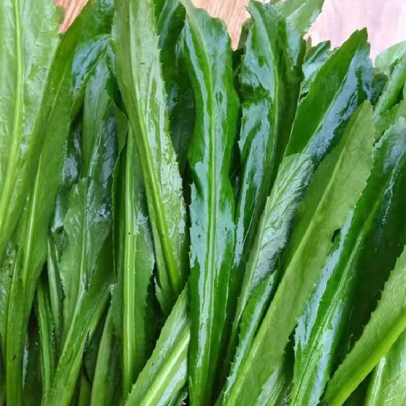 【清香爽口】大芫荽大香菜100g