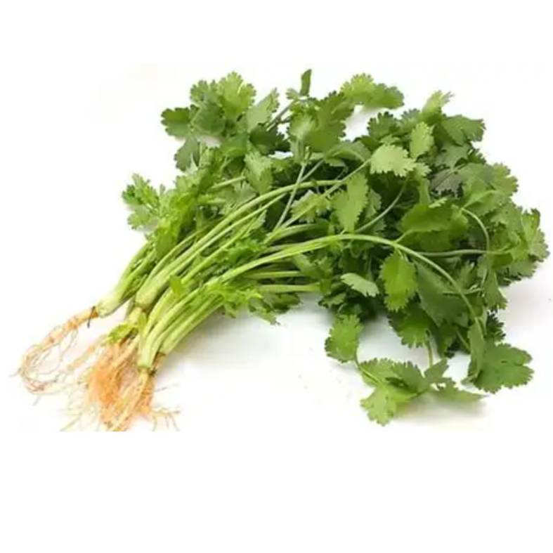 小香菜 /份（单点不送）