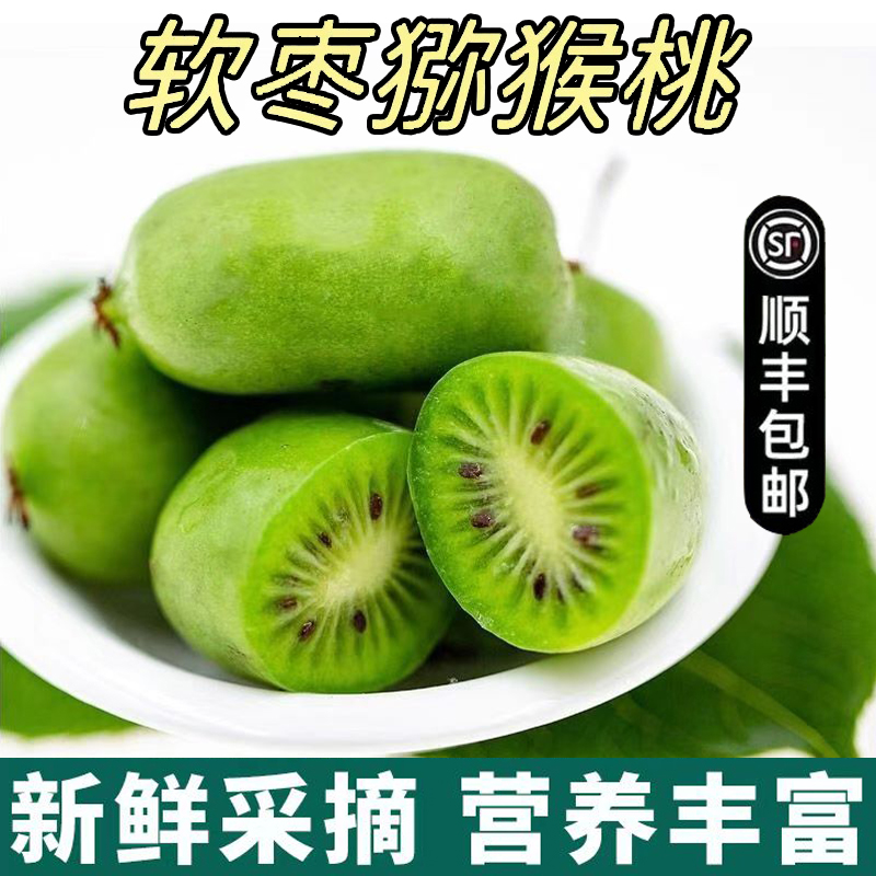 庄河本地软枣奇异莓新鲜软枣猕猴桃软糯香甜精选大果4斤顺丰包邮