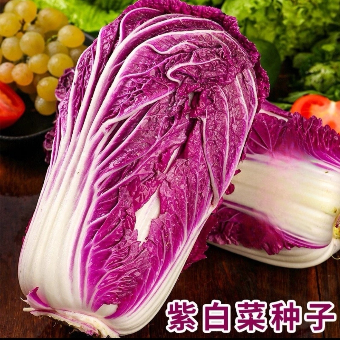【紫白菜种子】大白菜种子秋季易种好吃紫美人紫白菜菜园庭院蔬菜籽