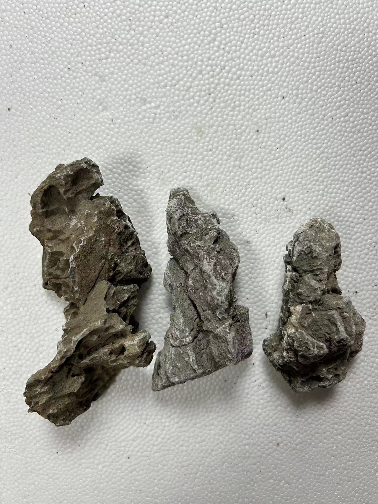 英德石盆景附树石条石盆栽石随机发栽树专用石小摆件石