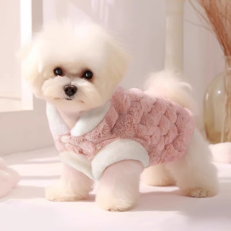 宠物衣服狗狗秋冬季服装泰迪猫咪棉衣金龟绒两脚加厚保暖背心马甲