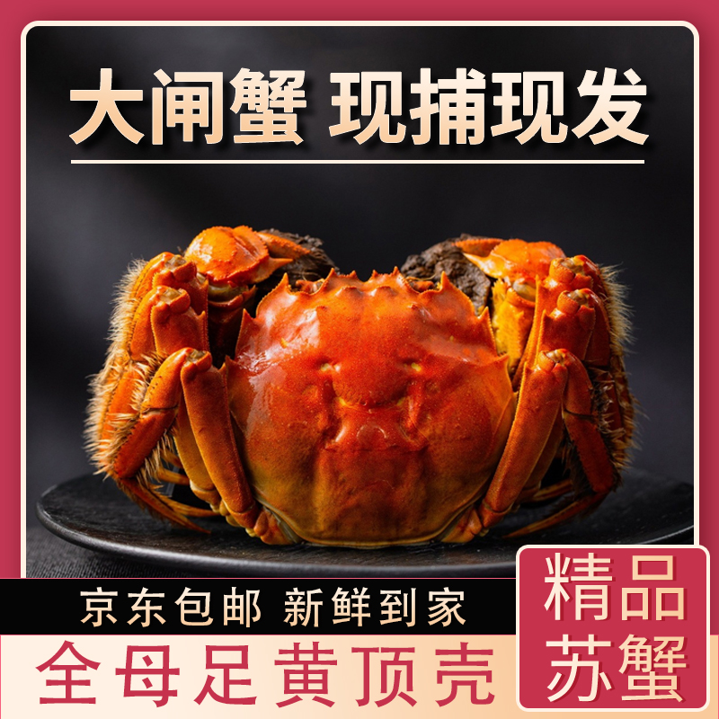 【活蟹】江苏大闸蟹现货全母单只2.5-2.7两肥美蟹黄礼盒装送人送礼
