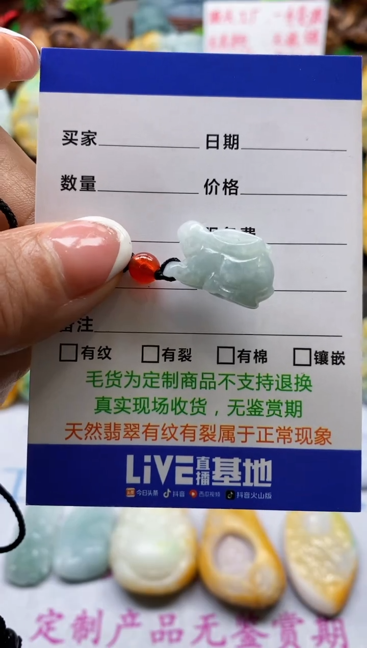 【闪购商品】翡翠颈饰未镶嵌1