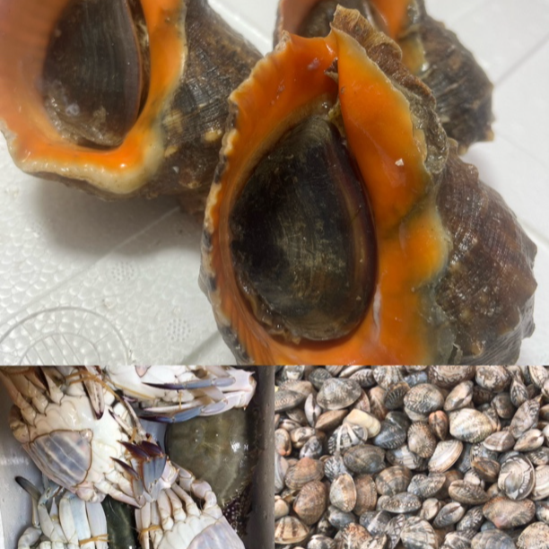 （精挑2木）海鲜包括鱼虾现场称重