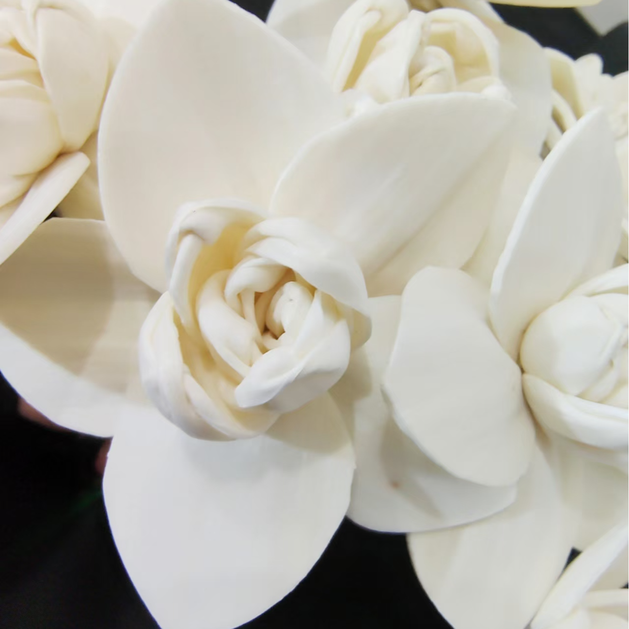 【通草兰花】5cm兰花通草花 手工制作毕业季花束搭配干花可配铁丝