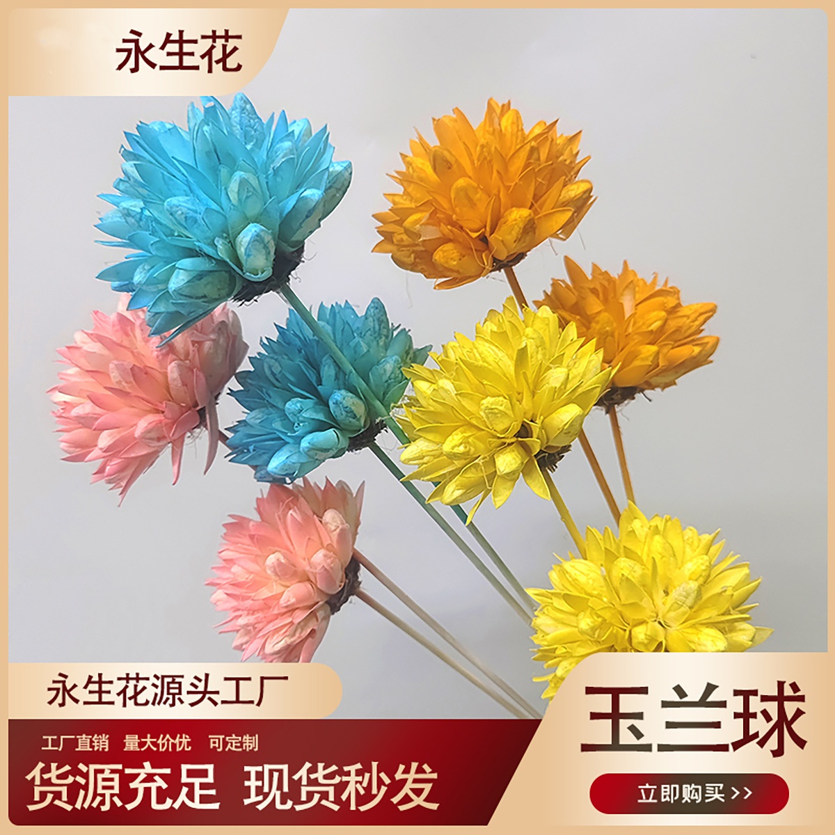 【玉兰球】玉兰球干花手工花装饰厂家装饰果壳粘花装饰插花束摆件