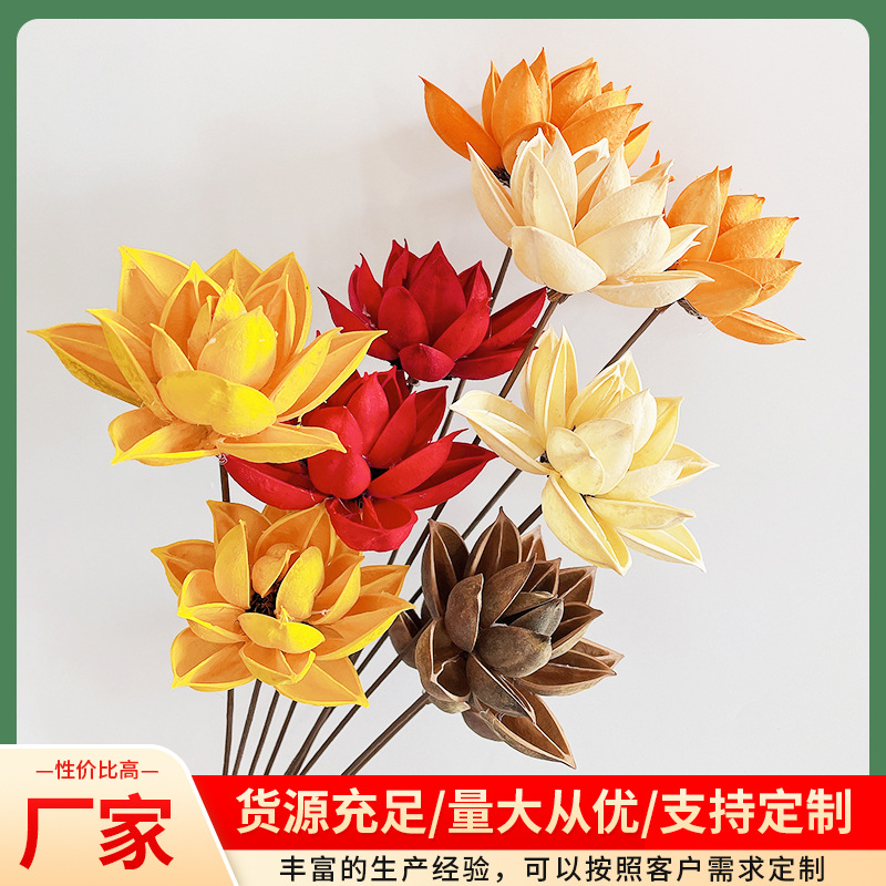 【花落谁家】 紫荆花装饰摆设云南荷花荷花木莲花 花束搭配花干花