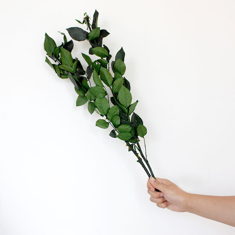 【玫瑰花杆】云南厂家直销diy小王子制作插花亚叶子永生玫瑰枝