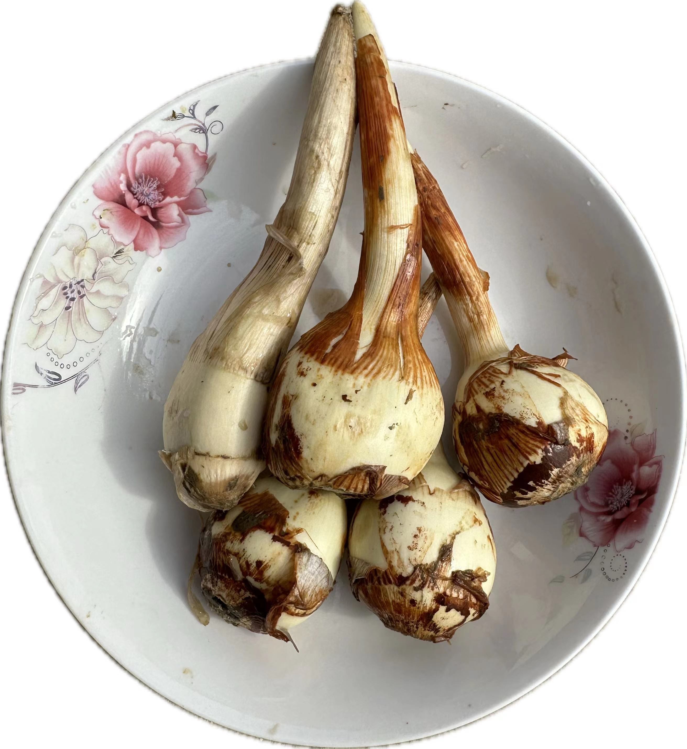 湖北天门新鲜农家自种食用茨姑