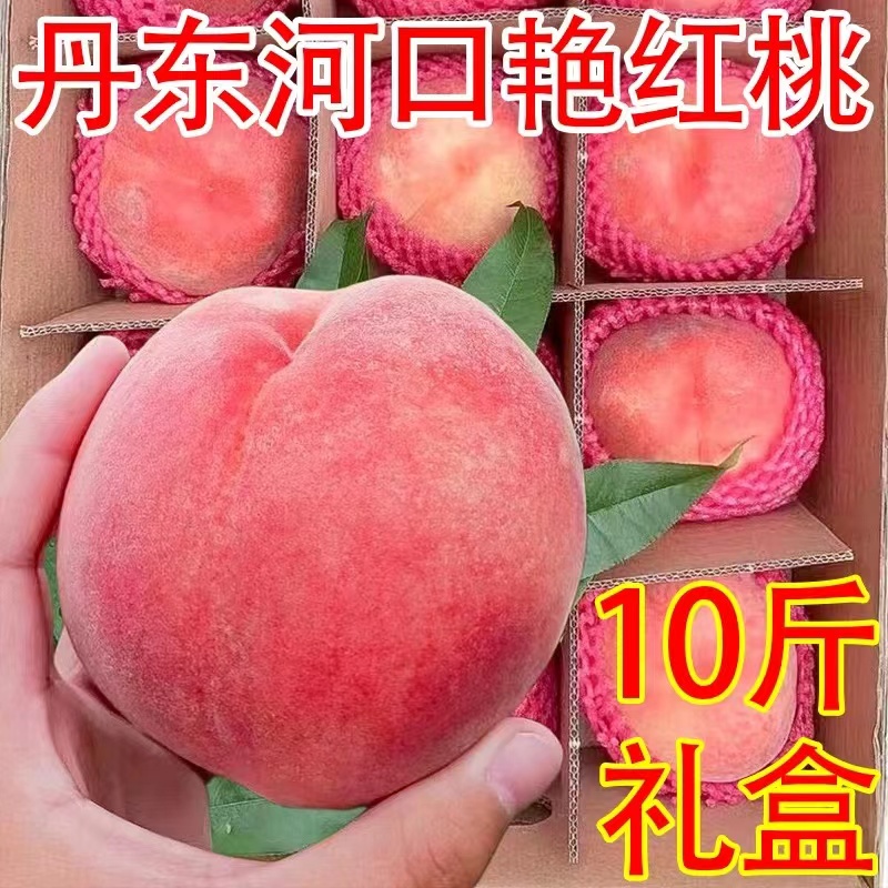 丹东河口艳红桃水蜜桃大燕红桃毛桃新鲜水果礼盒装净重8-9斤