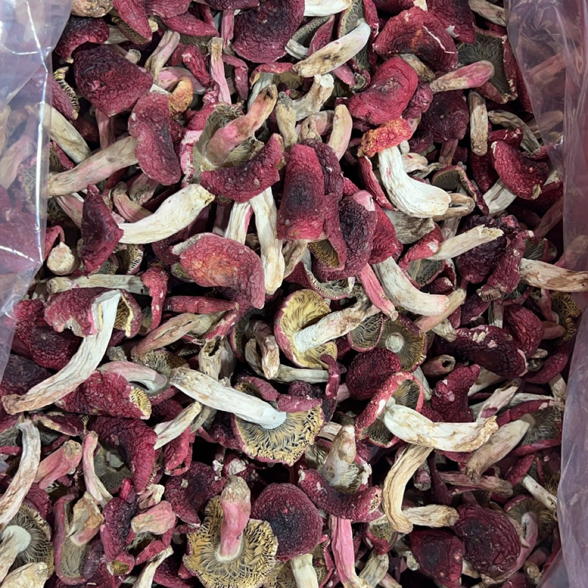 （永兴甄选）云南红菇干货红菇红菌