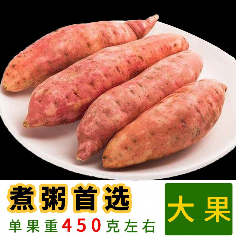 【十荟】自产自销河南沙地西瓜红红心蜜薯番薯地瓜新鲜红薯开封产地