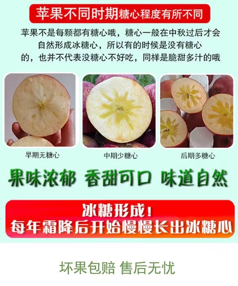【十荟果业】心红富士苹果新鲜水果苹果脆甜冰糖心丑苹果整箱现发时