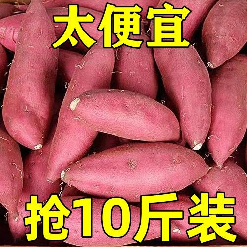 【十荟果业】【西瓜红】2023新蜜薯产地发货红心黄心番薯红薯地瓜蔬菜