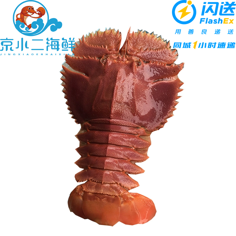 500g鲜活琵琶虾